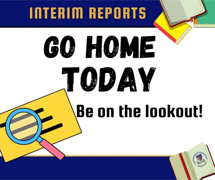 interims Go Home Today 2/6